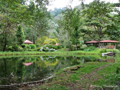 The pond and picnic shelters 1a - Sav.jpg