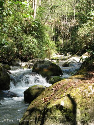 Habitats of Costa Rica