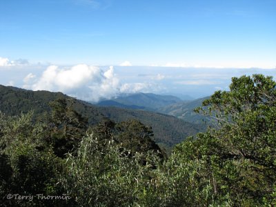 Looking west from the Panamerican Highway 1.JPG