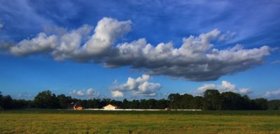 farm cloud