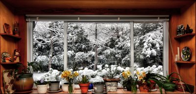 window dressing