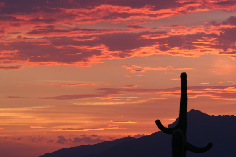 Phoenix Sunset