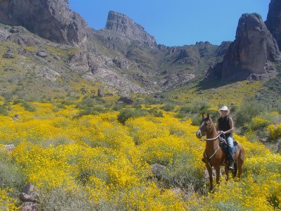 Spring Ride in the Superstitions