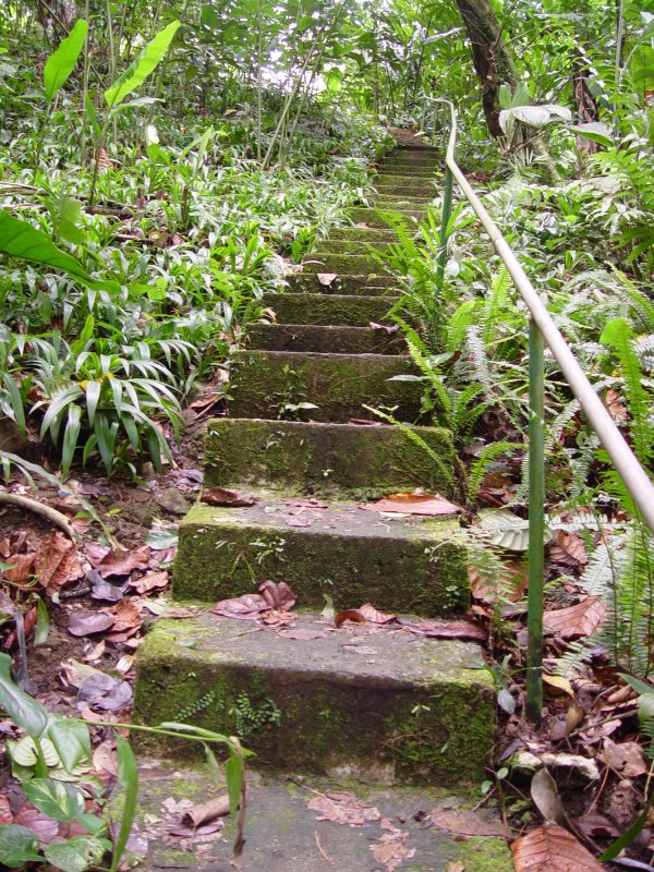 DOMAINE DE VALOMBREUSE, Guadeloupe