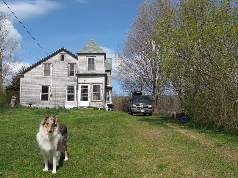 Sage in front of house around May 1, 2010