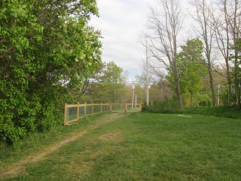 Dog fence in progress - as of May 15