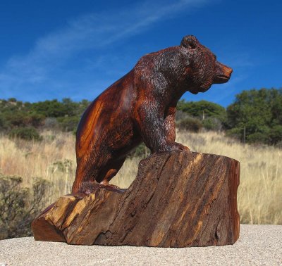 bear-and-cub-4.jpg
