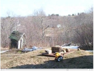 view of yard behind house