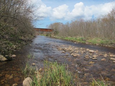 Round Hill Brook - downstream end of property near old railway bridge