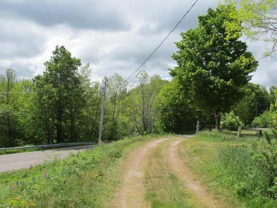 out-lane-28-05-2010-3.jpg