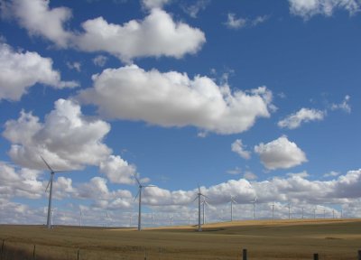 Condon windfarm - view 1
