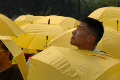 2012 Universal Suffrage Petition, 2007