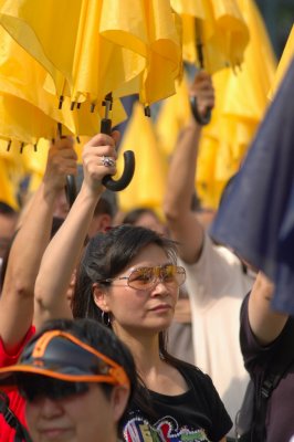 2012 Universal Suffrage Petition, 2007