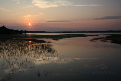 Evening on Marsh