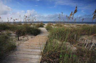 Boardwalk