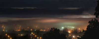 Night Fog II