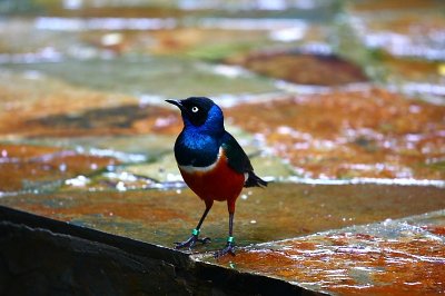 IMG_9274.JPG