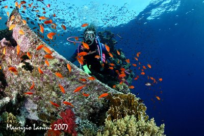 Namibia wreck