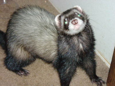 chancey 052604.jpg