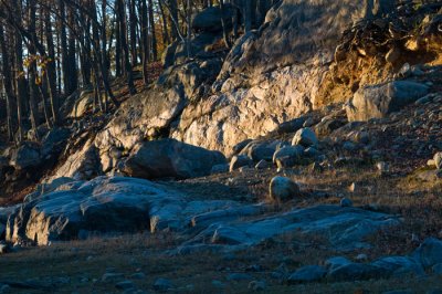 _DSC8637.jpg