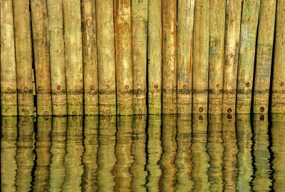 wood and water