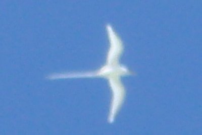 DSC00463.JPG