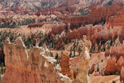 Bryce Amphitheater