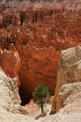 Bryce Point