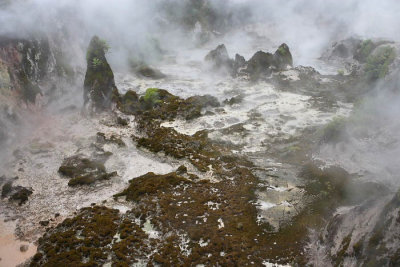 Wairakei Valley