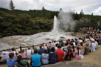 Wai-O-Tapu Thermal Wonderland, Lady Knox Geyser