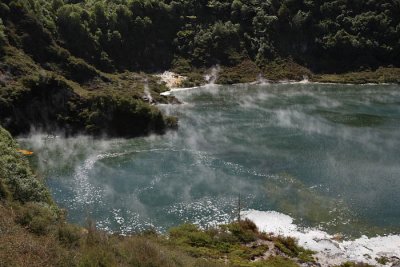 Waimangu Volcanic Valley, Frying Pan Lake