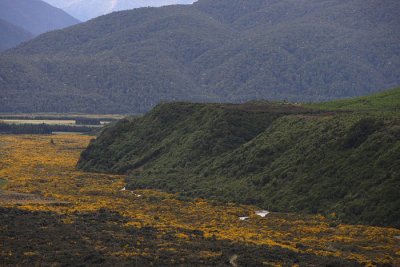 On the way to Te Anau