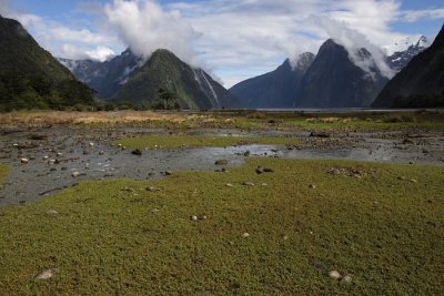 Milford Sound