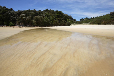 Abel Tasman