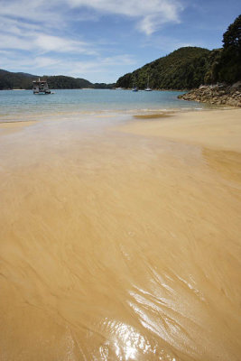 Abel Tasman