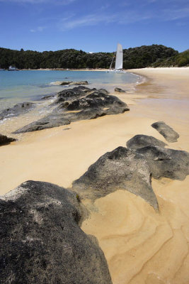 Abel Tasman