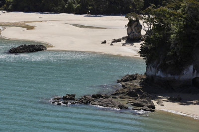 Abel Tasman