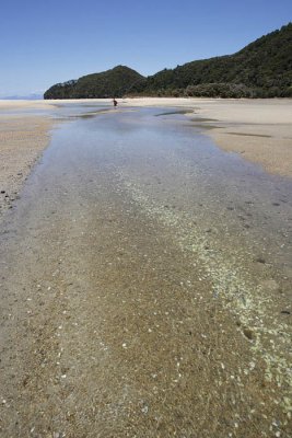Abel Tasman