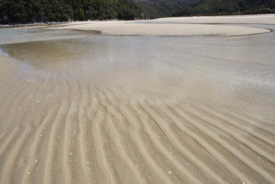 Abel Tasman