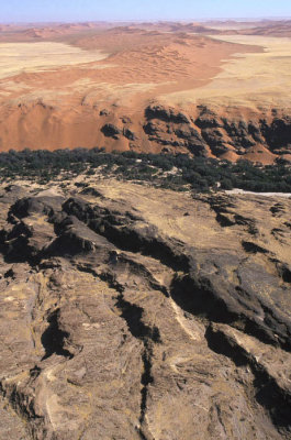 Rocks, trees and sand