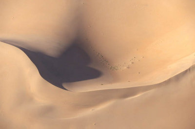 Sensual dune