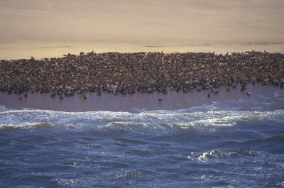 Crowded beach