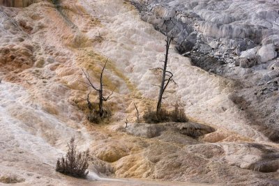 Mammoth Hot Springs, Palette Springs