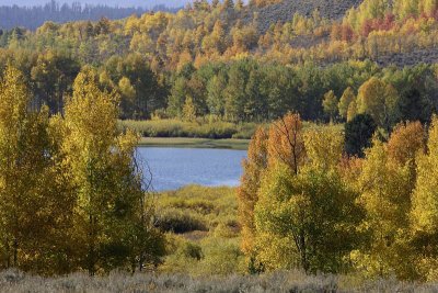 Oxbow Bend