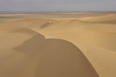 Early morning at the desert