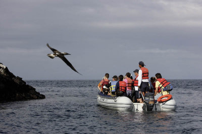 Looking for the birds, Rabida Island