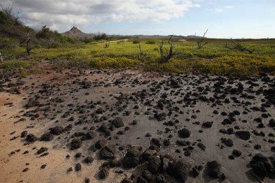 Trail to Dragon Hill, Santa Cruz Island