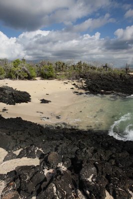 Venice, Santa Cruz Island