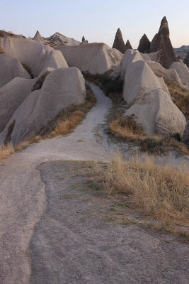 Coming from Rose Valley