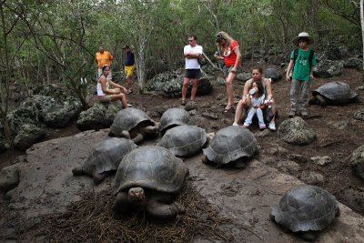 Floreana Island